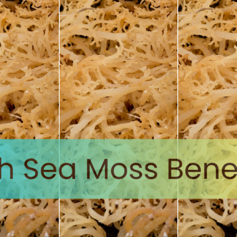 Irish Sea moss benefits