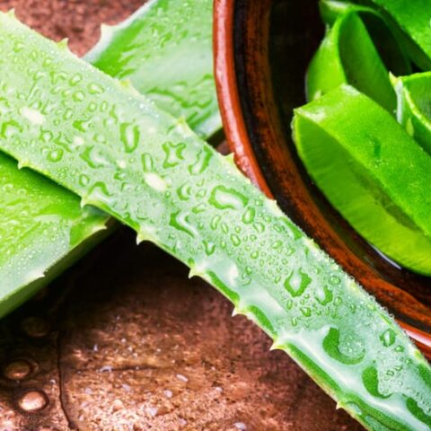 Benefits of Aloe vera gel