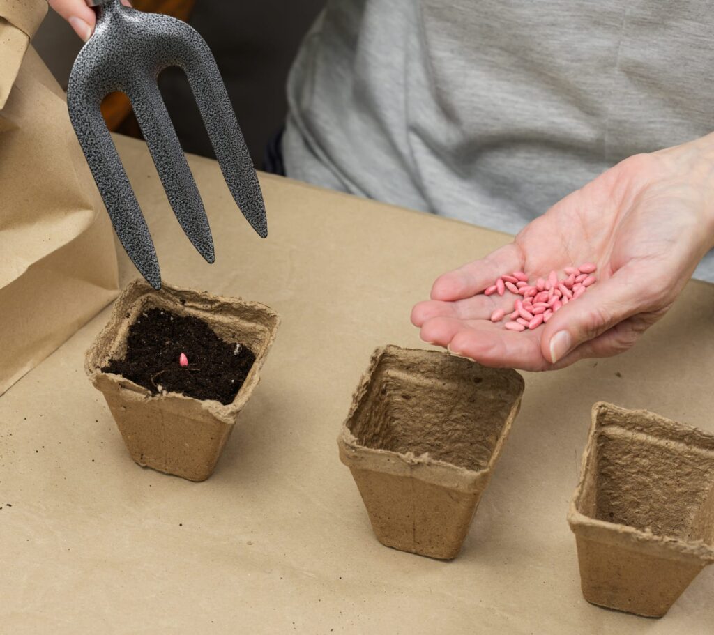 how to start seeds in a small pot