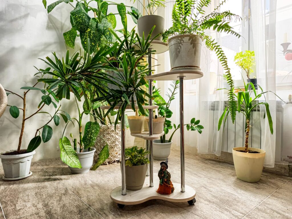 growing your own food in an apartment