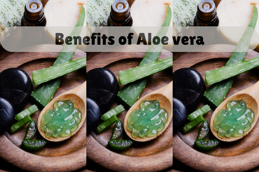 Benefits of Aloe vera